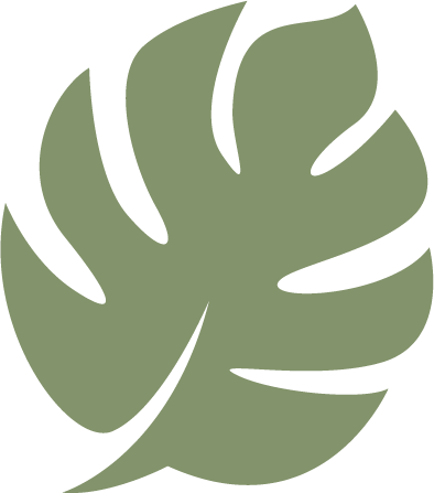 Monstera offers simple project management for creatives